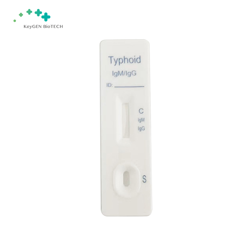 Typhoid IgM IgG